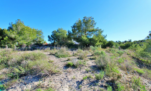 Herverkoop - Bouwgrond - San Miguel de Salinas - Costa Blanca Zuid