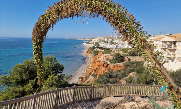 Herverkoop - 1. Appartement / flat - Cabo Roig - Costa Blanca Zuid