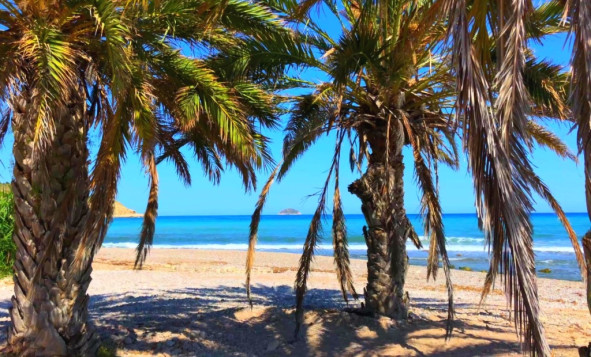 Nieuwbouw woningen - 1. Appartement / flat - Benidorm - Costa Blanca Noord