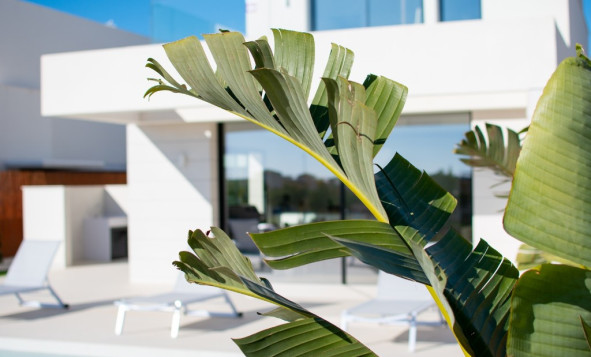 Nieuwbouw woningen - 3. Halfvrijstaand huis - Los Montesinos - Costa Blanca Zuid