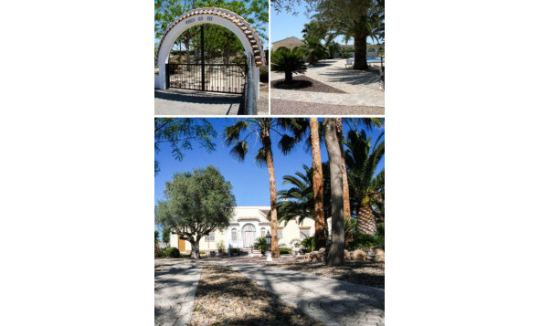 Resale - 7. Finca / Country property - Daya Vieja - Costa Blanca South