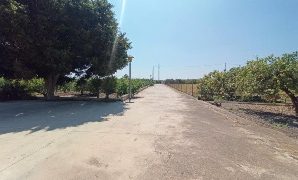 Herverkoop - 7. Finca / landhuis - San Miguel de Salinas - Costa Blanca Zuid