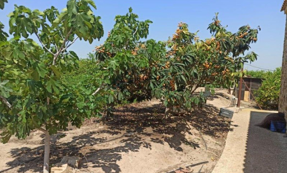 Herverkoop - 7. Finca / landhuis - San Miguel de Salinas - Costa Blanca Zuid