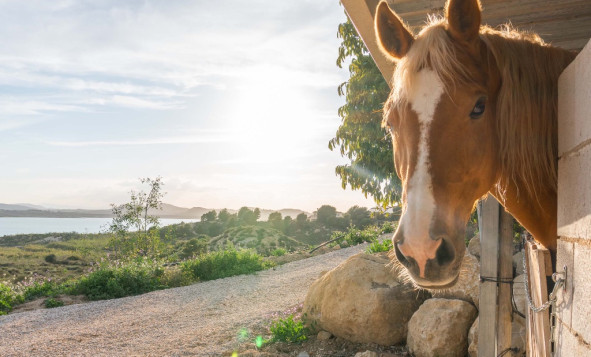Herverkoop - 3. Halfvrijstaand huis - Costa Blanca - Costa Blanca Zuid