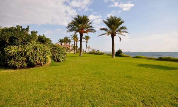 Obra nueva - 1. Apartamento / piso - Torrevieja - Costa Blanca Sur