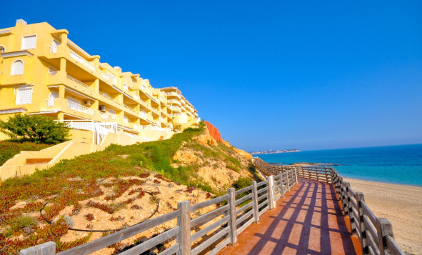 New build - 3. Semi-detached house - Dehesa de Campoamor - Costa Blanca South