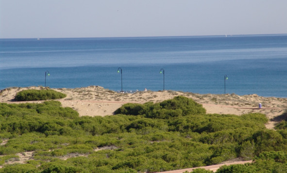 Nieuwbouw woningen - 4. Halfvrijstaande villa - La Marina - Costa Blanca Zuid