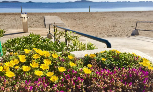 Nieuwbouw woningen - 3. Halfvrijstaand huis - Murcia - Costa Calida