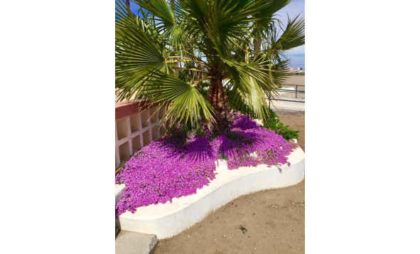 Nieuwbouw woningen - 3. Halfvrijstaand huis - Murcia - Costa Calida