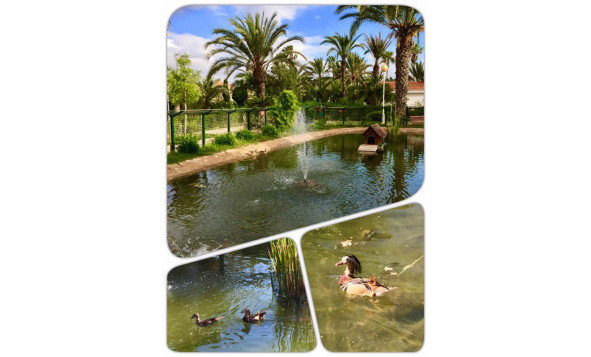 Nieuwbouw woningen - 3. Halfvrijstaand huis - Murcia - Costa Calida