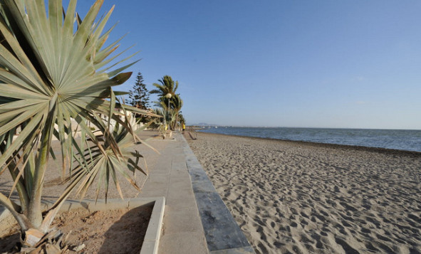 New build - 3. Semi-detached house - Murcia - Costa Calida