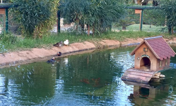 New build - 3. Semi-detached house - Murcia - Costa Calida