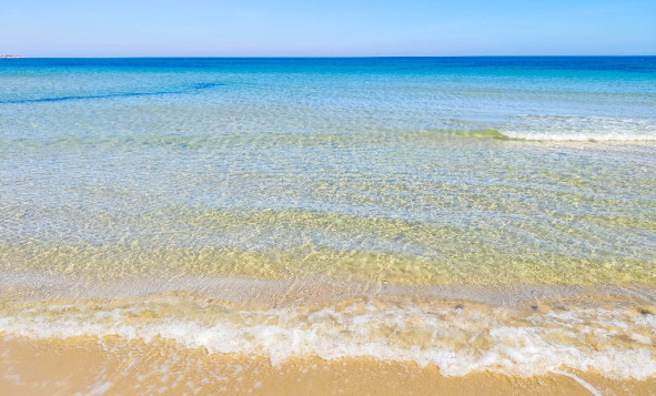 Obra nueva - 1. Apartamento / piso - Pilar de la Horadada - Costa Blanca Sur