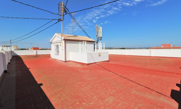 Herverkoop - 1. Appartement / flat - Torrevieja - Costa Blanca Zuid