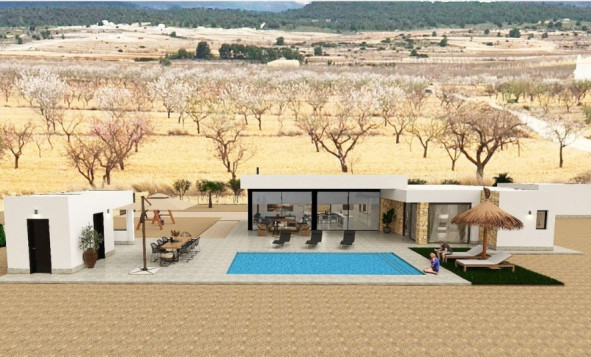 Obra nueva - 3. Casa pareada - Pinoso - Costa Blanca Norte 