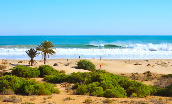 Nieuwbouw woningen - 1. Appartement / flat - Guardamar del Segura - Costa Blanca Zuid