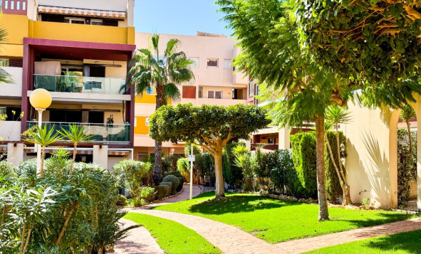 Herverkoop - 1. Appartement / flat - Playa Flamenca - Costa Blanca Zuid