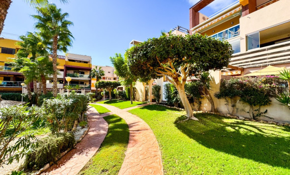 Herverkoop - 1. Appartement / flat - Playa Flamenca - Costa Blanca Zuid