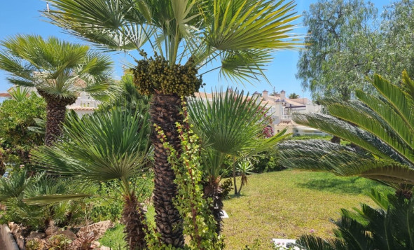 Herverkoop - 1. Appartement / flat - Torrevieja - Costa Blanca Zuid