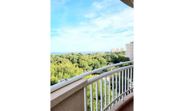 Herverkoop - 1. Appartement / flat - Dehesa de Campoamor - Costa Blanca Zuid