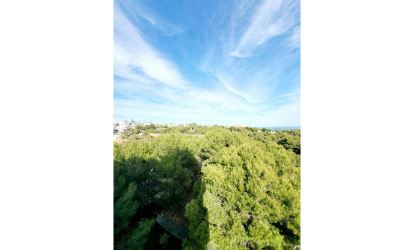 Herverkoop - 1. Appartement / flat - Dehesa de Campoamor - Costa Blanca Zuid