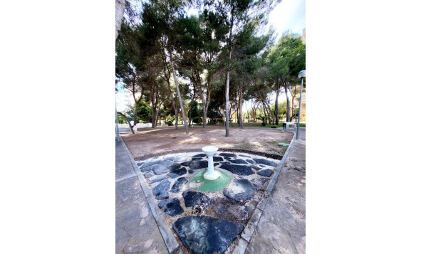 Herverkoop - 1. Appartement / flat - Dehesa de Campoamor - Costa Blanca Zuid