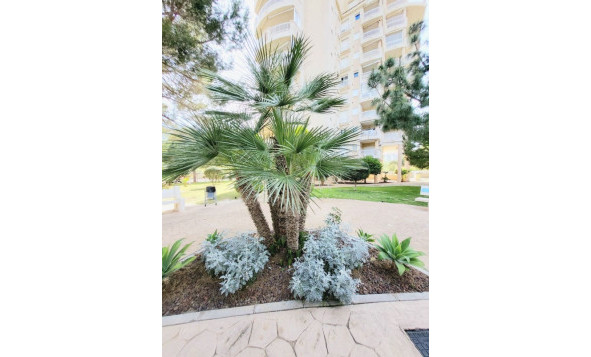 Herverkoop - 1. Appartement / flat - Dehesa de Campoamor - Costa Blanca Zuid