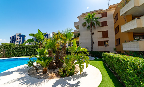 Herverkoop - 1. Appartement / flat - Punta Prima - Costa Blanca Zuid