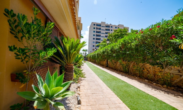 Herverkoop - 1. Appartement / flat - Punta Prima - Costa Blanca Zuid