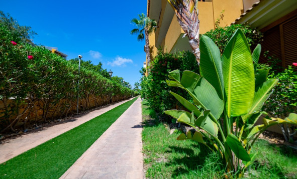 Herverkoop - 1. Appartement / flat - Punta Prima - Costa Blanca Zuid