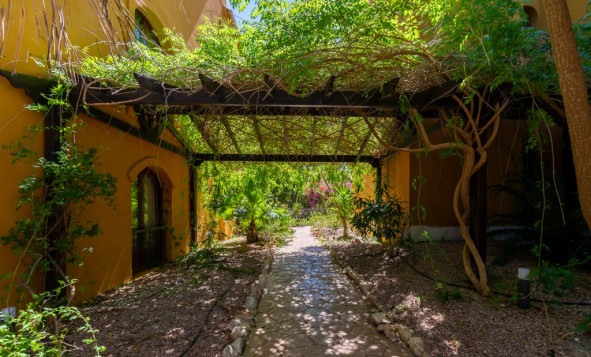 Herverkoop - 1. Appartement / flat - Punta Prima - Costa Blanca Zuid