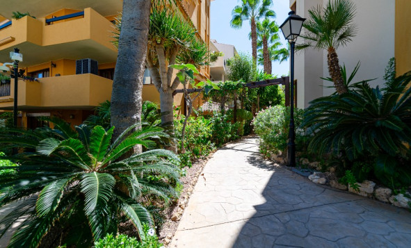 Herverkoop - 1. Appartement / flat - Punta Prima - Costa Blanca Zuid