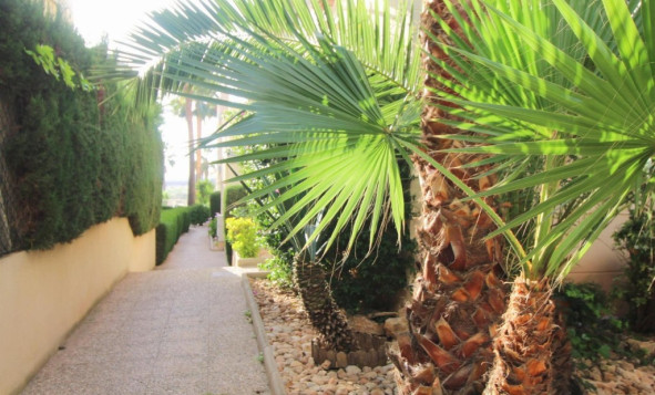 Herverkoop - 1. Appartement / flat - Torrevieja - Costa Blanca Zuid