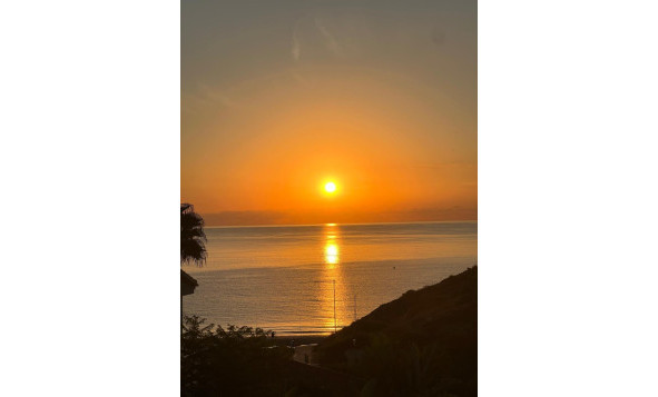 Resale - 3. Semi-detached house - Dehesa de Campoamor - Costa Blanca South