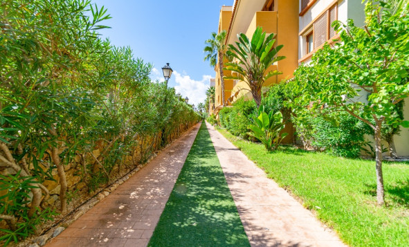 Herverkoop - 1. Appartement / flat - Punta Prima - Costa Blanca Zuid