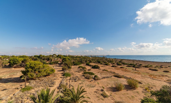 Herverkoop - 1. Appartement / flat - Punta Prima - Costa Blanca Zuid