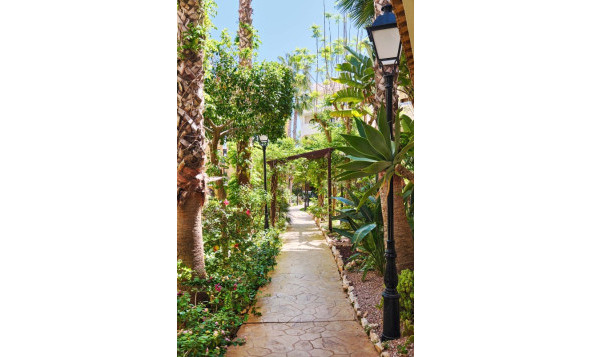 Herverkoop - 1. Appartement / flat - Punta Prima - Costa Blanca Zuid