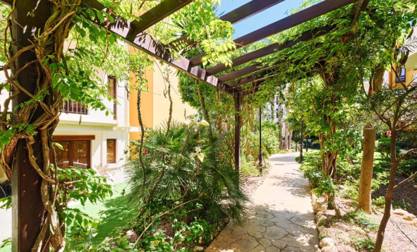 Herverkoop - 1. Appartement / flat - Punta Prima - Costa Blanca Zuid