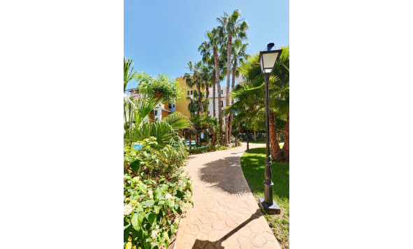 Herverkoop - 1. Appartement / flat - Punta Prima - Costa Blanca Zuid