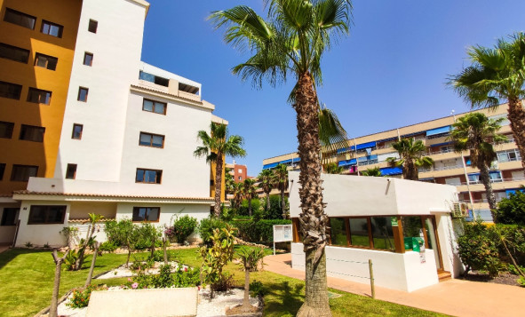 Herverkoop - 1. Appartement / flat - Punta Prima - Costa Blanca Zuid