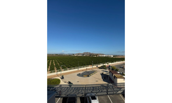 Herverkoop - 1. Appartement / flat - Torrevieja - Costa Blanca Zuid