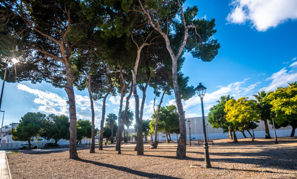 Resale - 1. Apartment / flat - San Pedro del Pinatar - Costa Calida