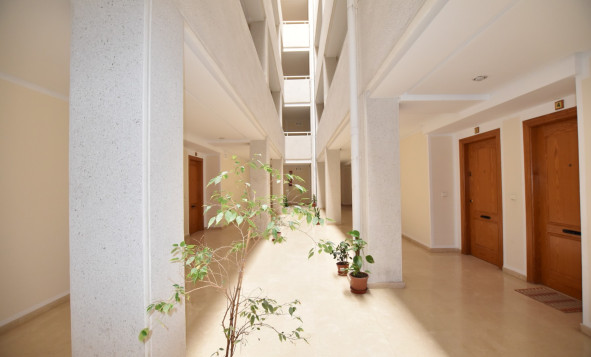 Herverkoop - 1. Appartement / flat - La Mata - Costa Blanca Zuid