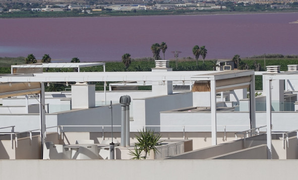 Herverkoop - 1. Appartement / flat - Torrevieja - Costa Blanca Zuid