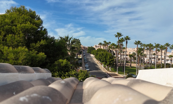 Herverkoop - 1. Appartement / flat - La Mata - Costa Blanca Zuid