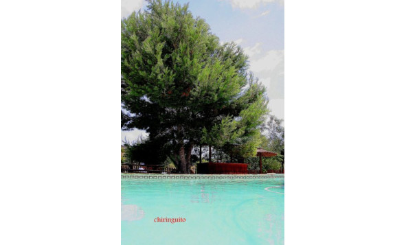 Herverkoop - 7. Finca / landhuis - Gea Y Truyols - Costa Calida