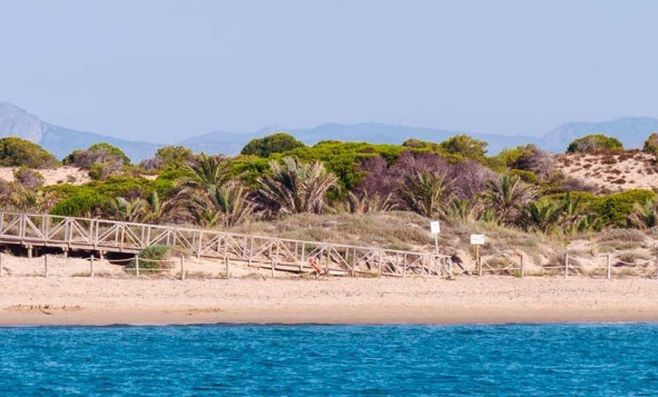 New build - 1. Apartment / flat - Guardamar del Segura - Costa Blanca South