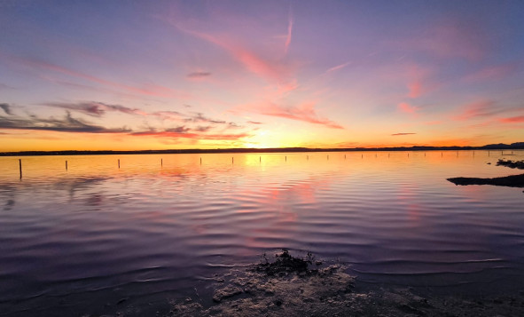 Resale - 2. Town house - El Chaparral - Costa Blanca South