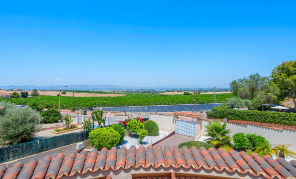 Resale - 3. Semi-detached house - Algorfa - Costa Blanca South