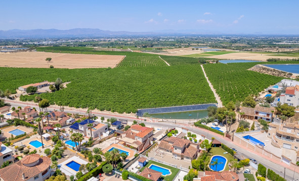 Resale - 3. Semi-detached house - Algorfa - Costa Blanca South